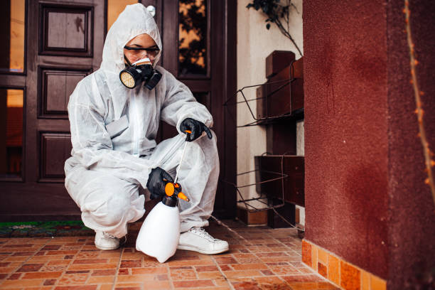 Reliable Rodent Control contractor in Vassar College, NY by Nex Pest Control
